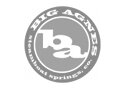 Logo der Marke Big Agnes