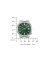 Citizen - NJ0200-50X - Wrist Watch - Women - Automatic - Tsuyosa